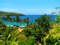 Grande Anse, Martinique @pink.turtle.blog