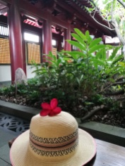@pink.turtle.blog/fleur de frangipanier (temple de la relique de la dent de bouddha)