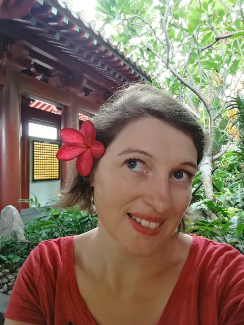 fleur de frangipanier (temple de la relique de la dent de bouddha)