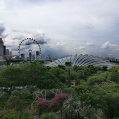 @pink.turtle.blog/ Flower Dome (Singapour)