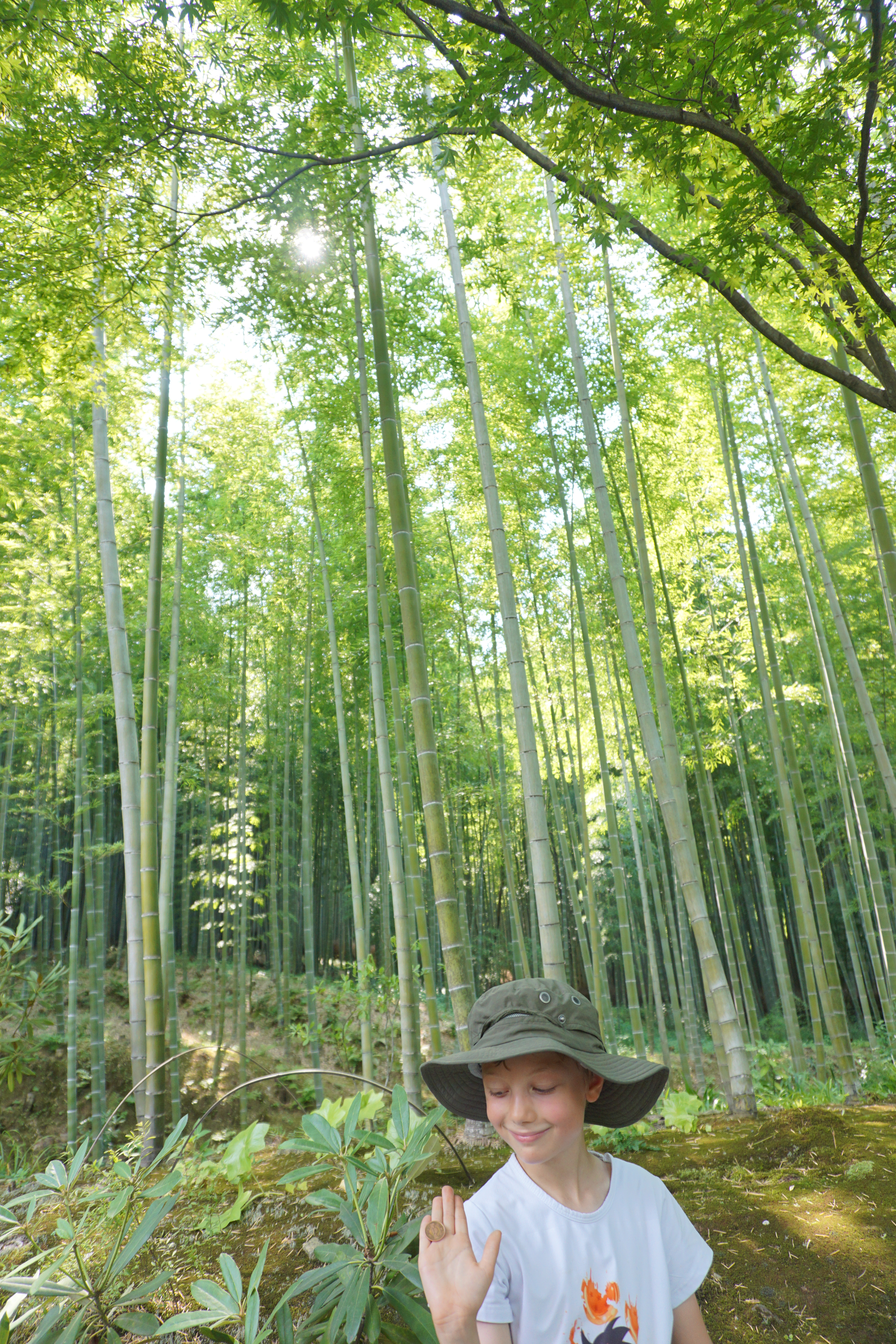 Bambouseraie d'Arashiyama/ @pink.turtle.blog