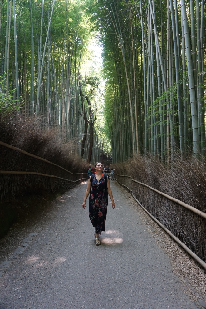 Bambouseraie d'Arashiyama/ @pink.turtle.blog