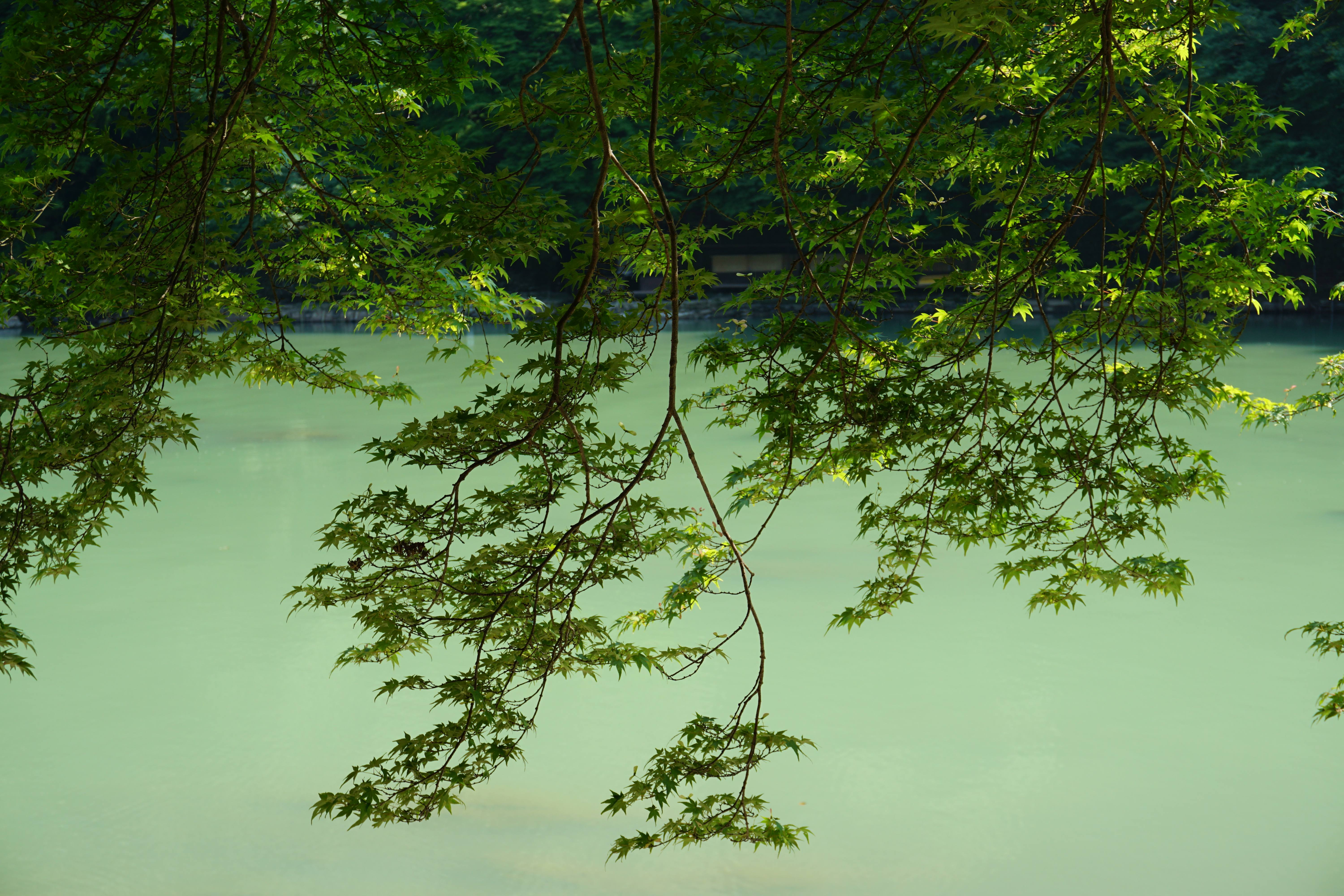 La rivière Hozu/ @pink.turtle.blog