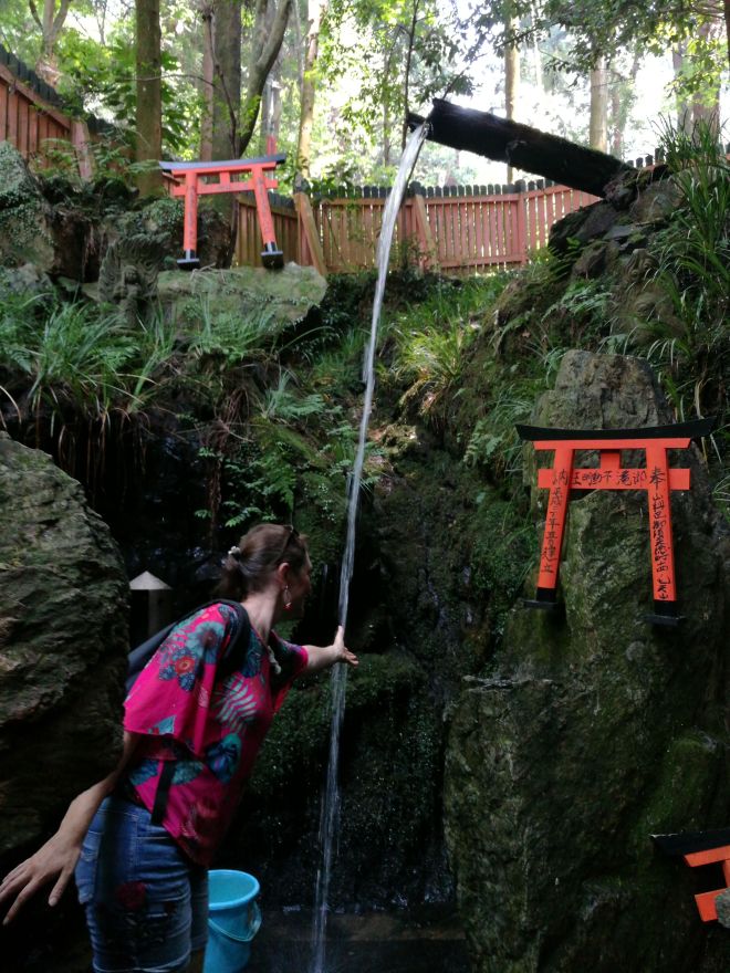 Cascade Fushimi Inari/ @pink.turtle.blog
