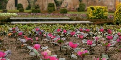 Jardin Sainte-Barbe, Braga @pink.turtle.blog