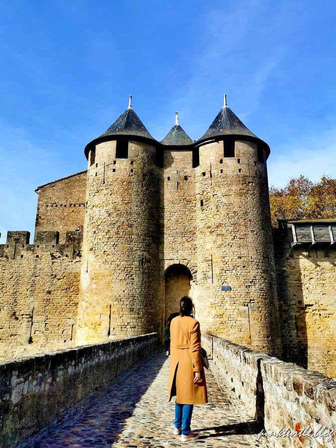 Cité médiévale de Carcassonne @pinkturtle.blog